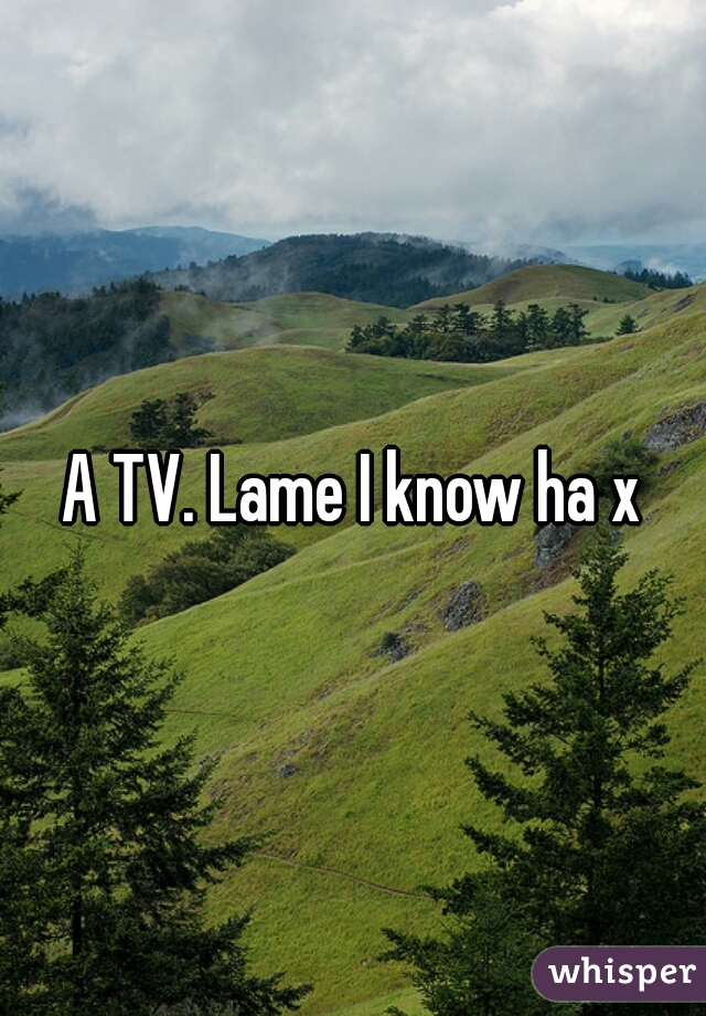 A TV. Lame I know ha x