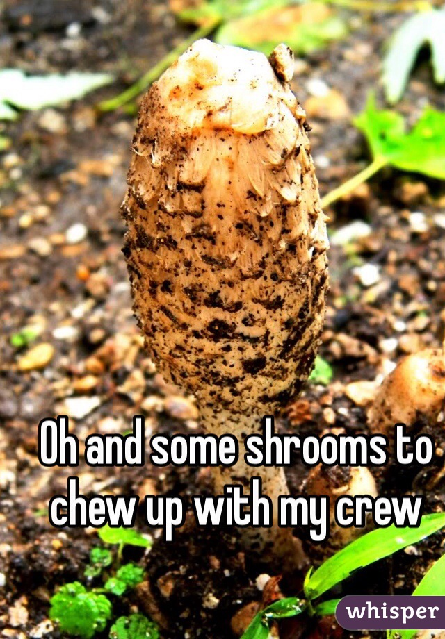 Oh and some shrooms to chew up with my crew