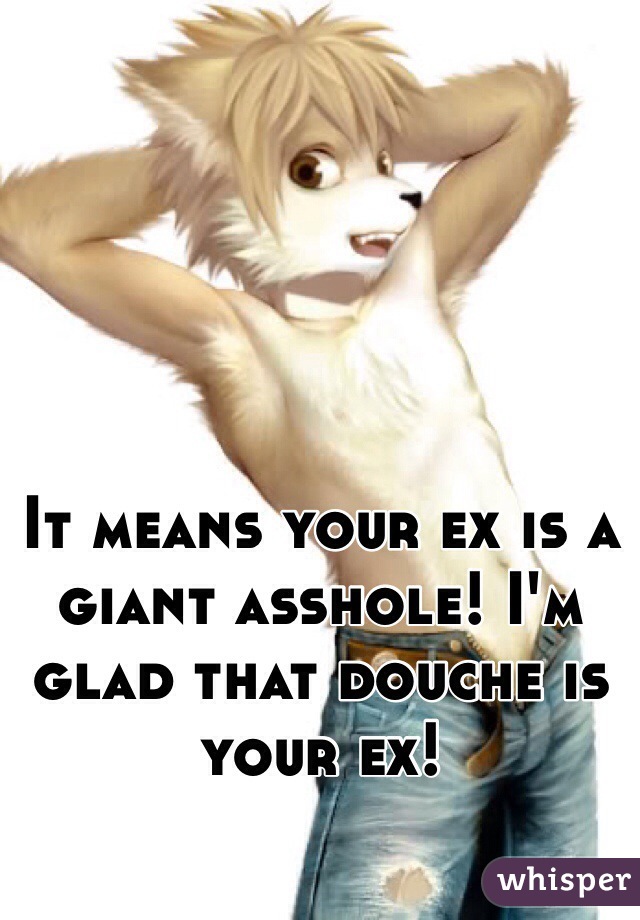 





It means your ex is a giant asshole! I'm glad that douche is your ex!