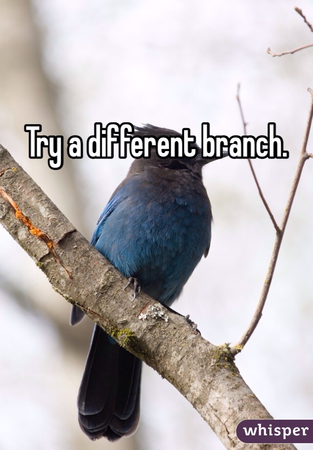 Try a different branch. 