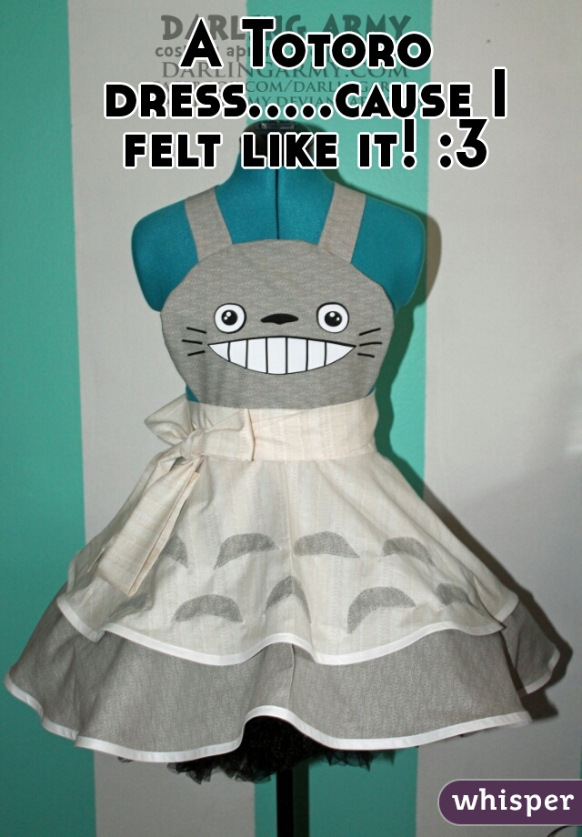  A Totoro dress.....cause I felt like it! :3