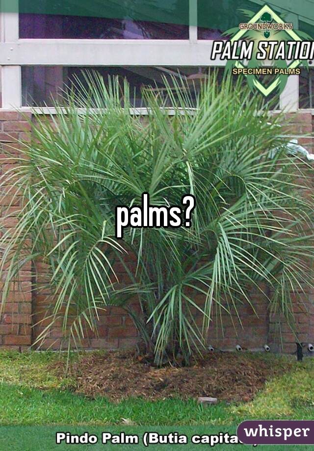 palms?