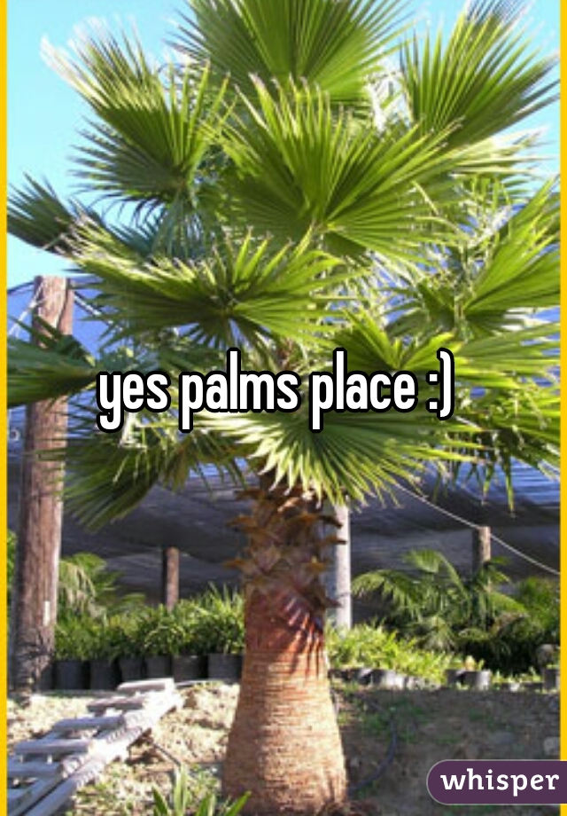 yes palms place :) 