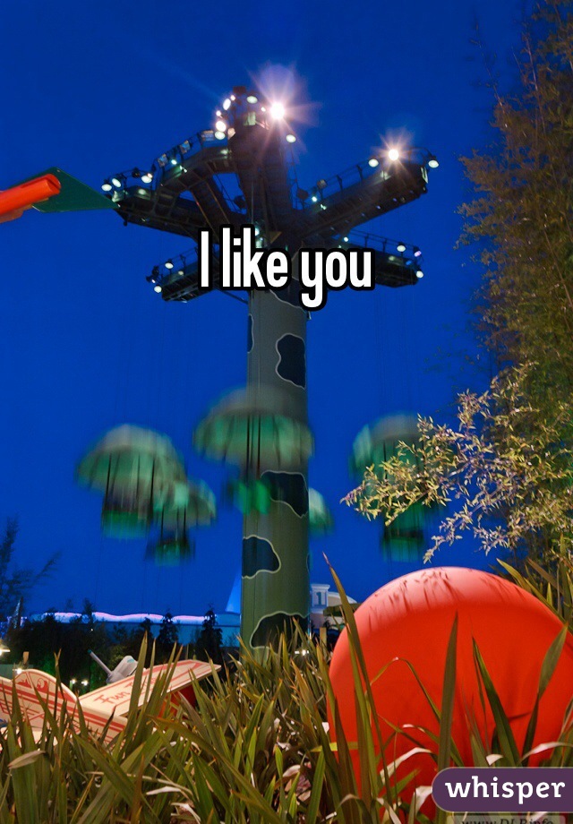 I like you 