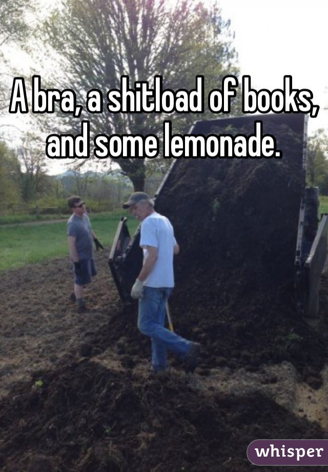 A bra, a shitload of books, and some lemonade. 