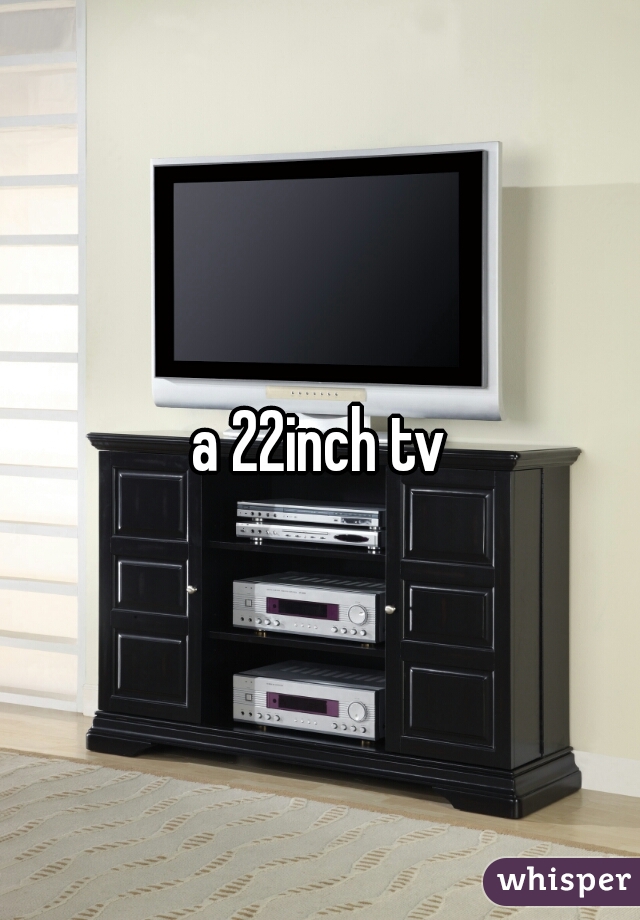 a 22inch tv