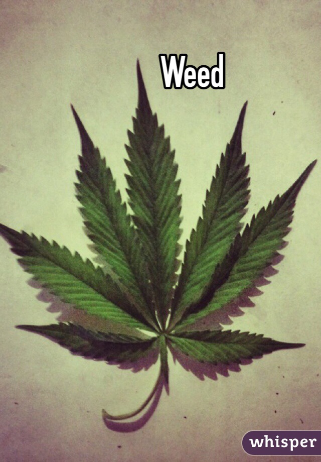 Weed