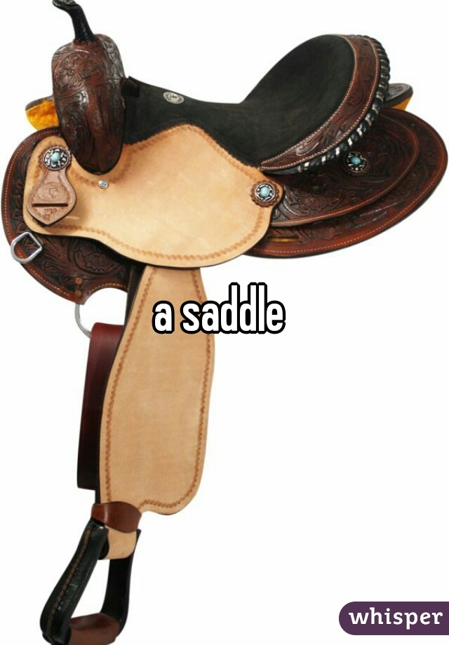 a saddle 