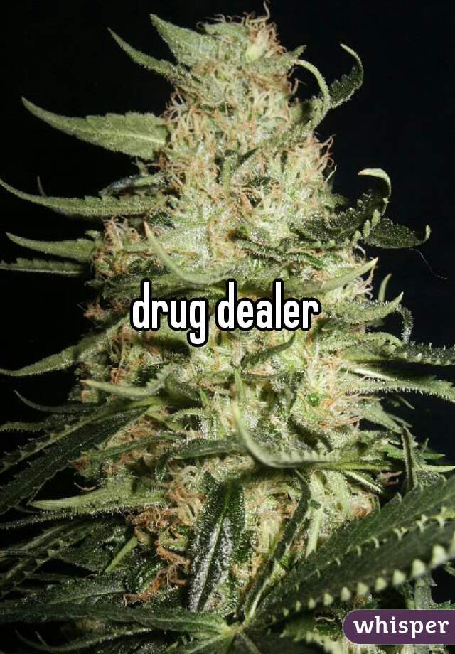 drug dealer