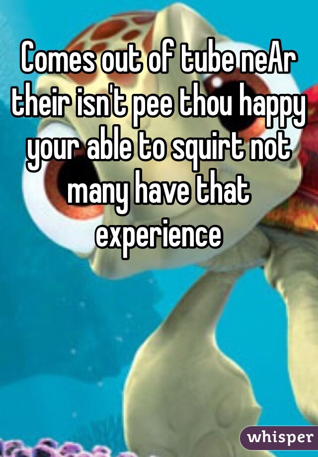 Comes out of tube neAr their isn't pee thou happy your able to squirt not many have that experience 