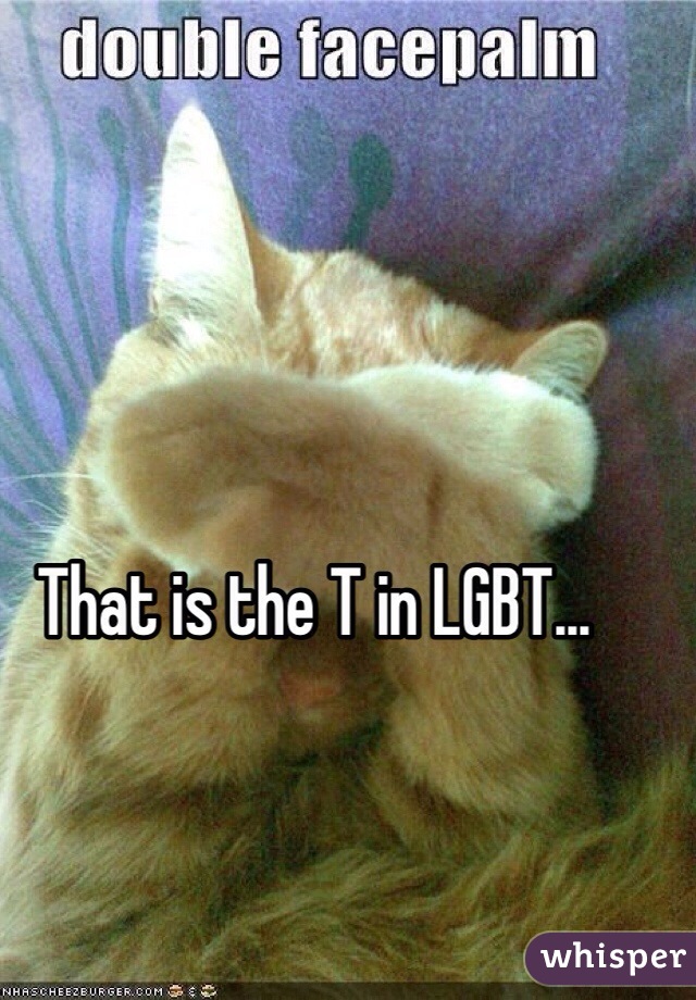 That is the T in LGBT...