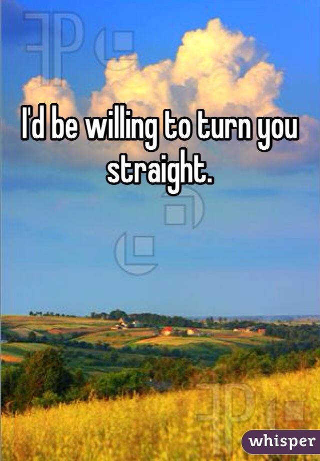 I'd be willing to turn you straight. 