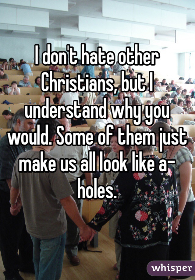 I don't hate other Christians, but I understand why you would. Some of them just make us all look like a-holes.