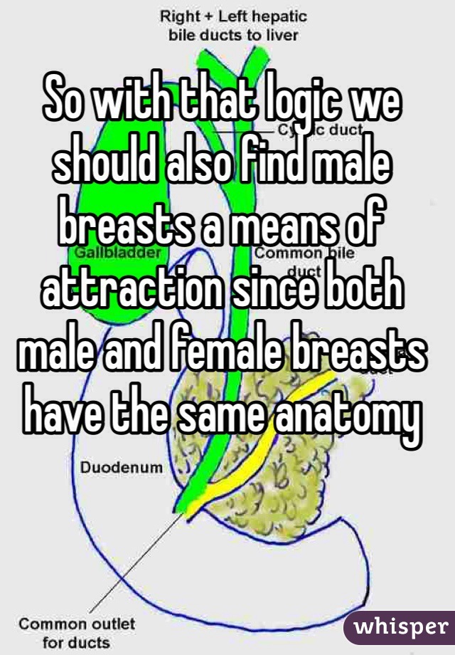 So with that logic we should also find male breasts a means of attraction since both male and female breasts have the same anatomy