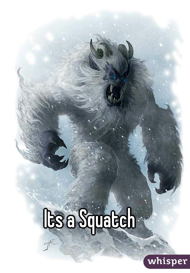 Its a Squatch