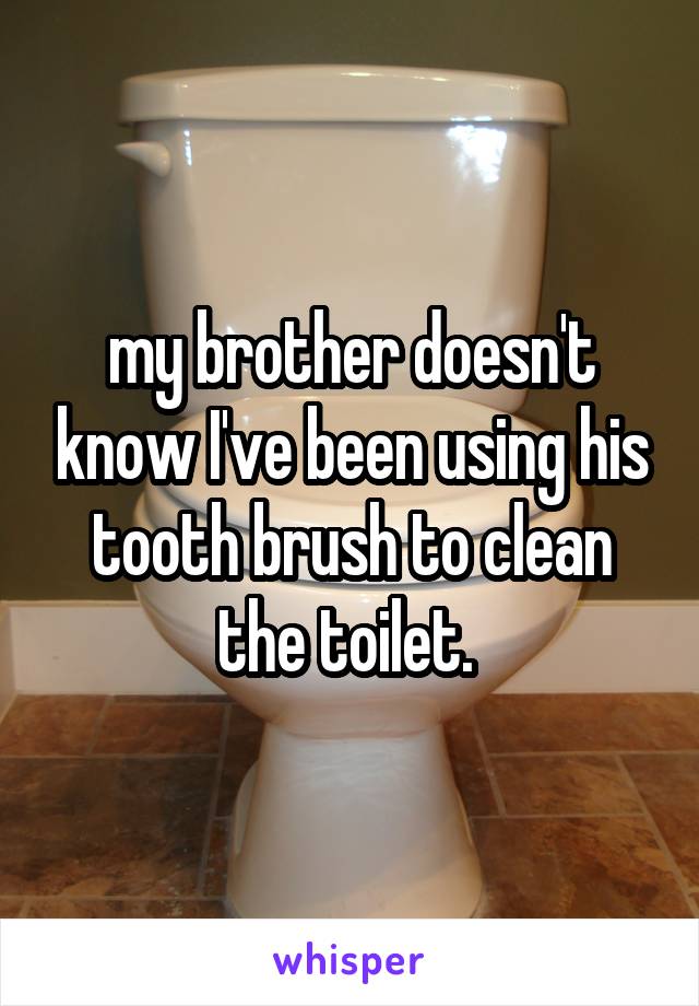 my brother doesn't know I've been using his tooth brush to clean the toilet. 