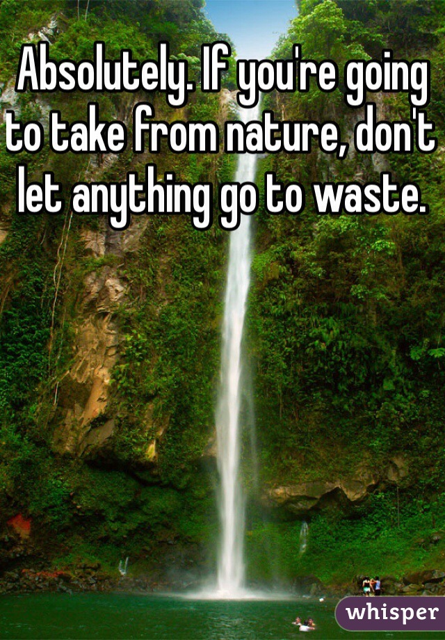 Absolutely. If you're going to take from nature, don't let anything go to waste.