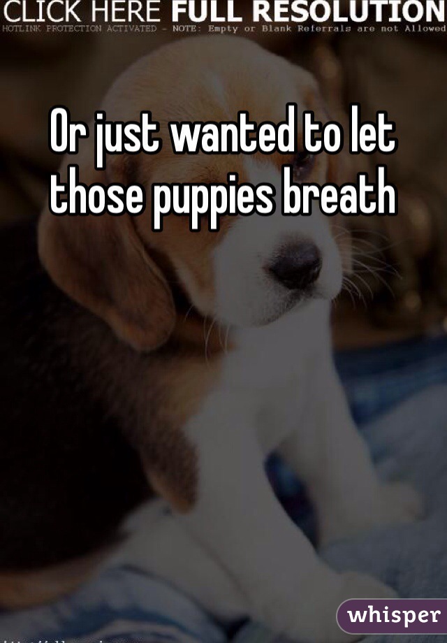 Or just wanted to let those puppies breath 