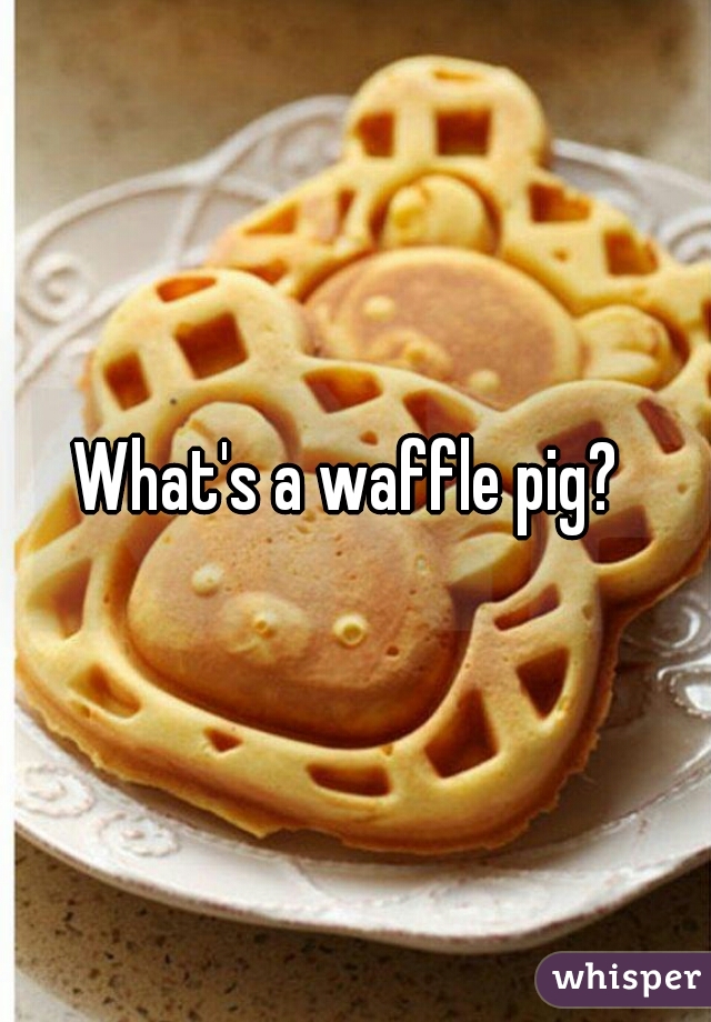 What's a waffle pig? 