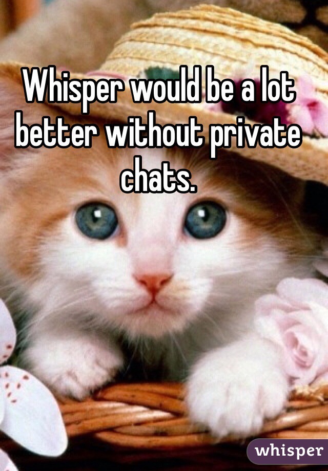 Whisper would be a lot better without private chats.