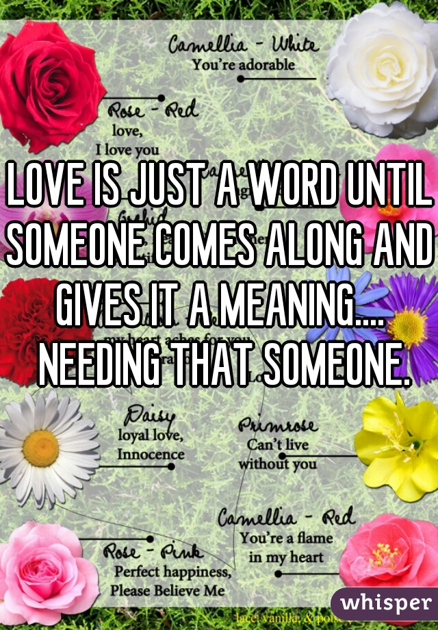 LOVE IS JUST A WORD UNTIL 

SOMEONE COMES ALONG AND 

GIVES IT A MEANING.... 

NEEDING THAT SOMEONE.