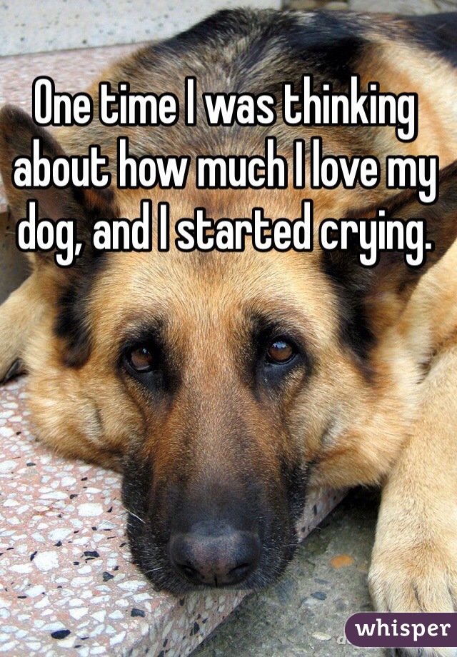 One time I was thinking about how much I love my dog, and I started crying. 