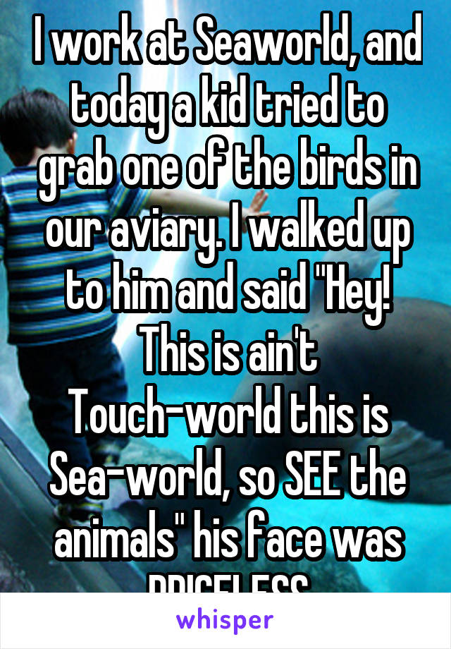 I work at Seaworld, and today a kid tried to grab one of the birds in our aviary. I walked up to him and said "Hey! This is ain't Touch-world this is Sea-world, so SEE the animals" his face was PRICELESS