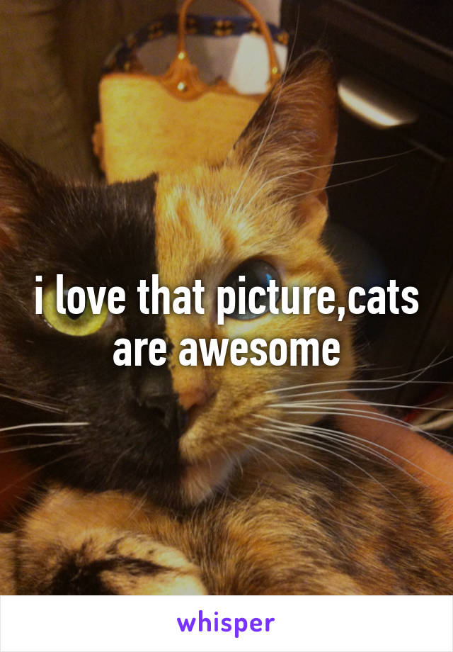 i love that picture,cats are awesome