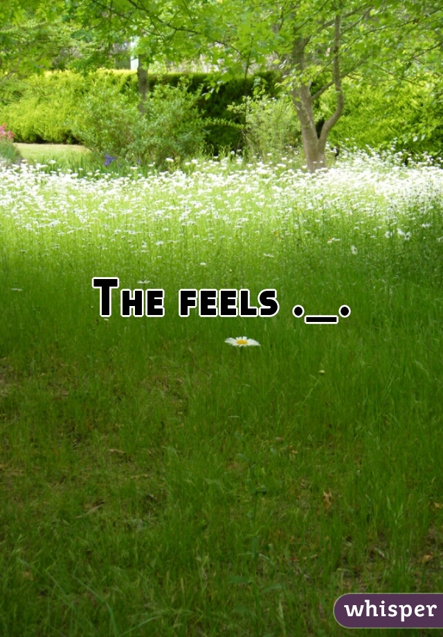 The feels ._.