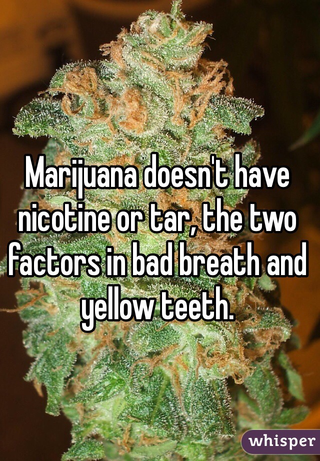 Marijuana doesn't have nicotine or tar, the two factors in bad breath and yellow teeth. 