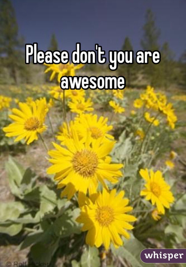 Please don't you are awesome