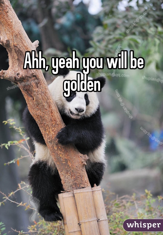 Ahh, yeah you will be golden 