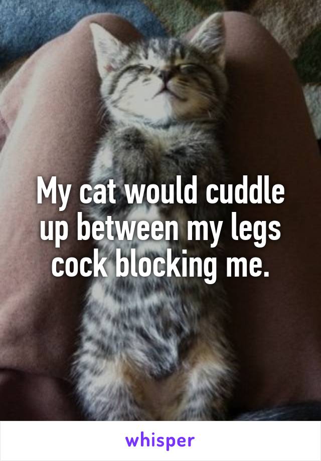 My cat would cuddle up between my legs cock blocking me.