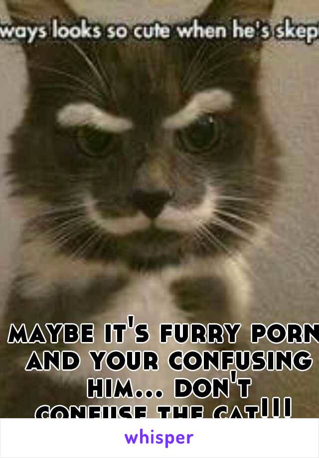 maybe it's furry porn and your confusing him... don't confuse the cat!!! 