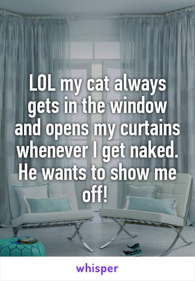 LOL my cat always gets in the window and opens my curtains whenever I get naked. He wants to show me off! 