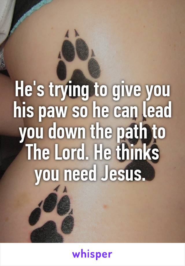 He's trying to give you his paw so he can lead you down the path to The Lord. He thinks you need Jesus. 