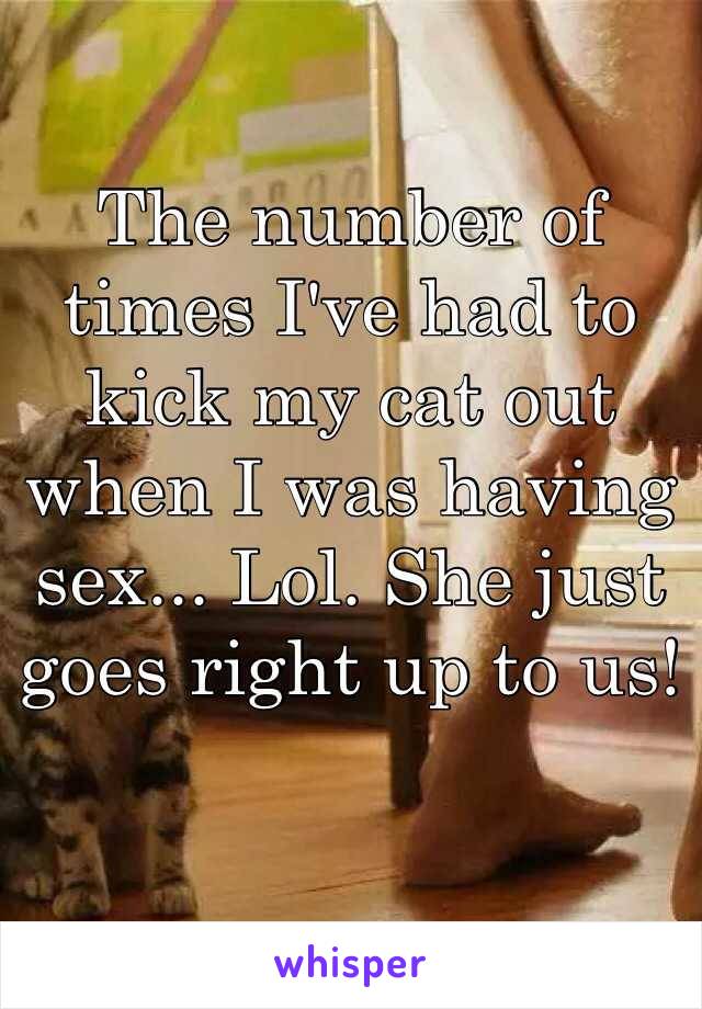 The number of times I've had to kick my cat out when I was having sex... Lol. She just goes right up to us! 