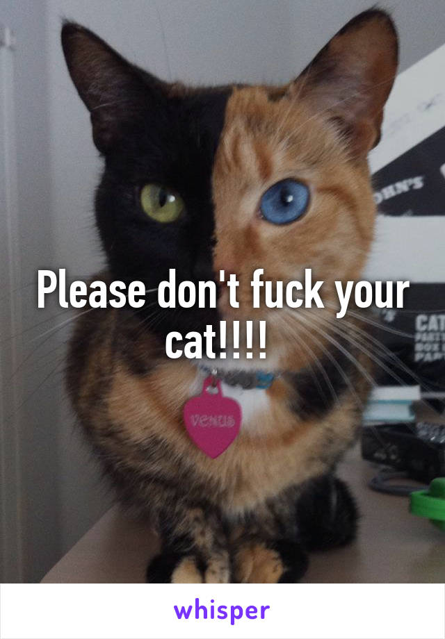 Please don't fuck your cat!!!! 