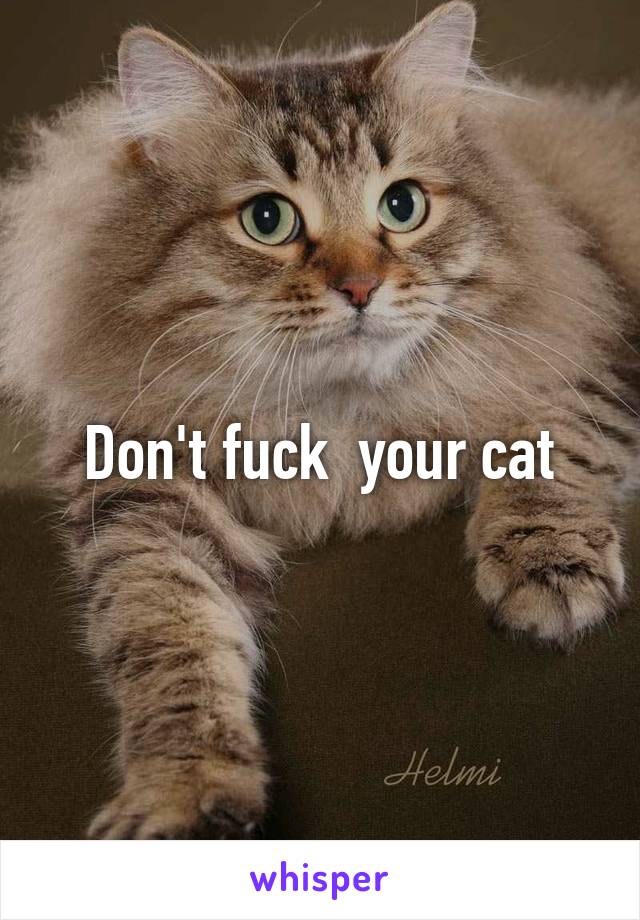 Don't fuck  your cat