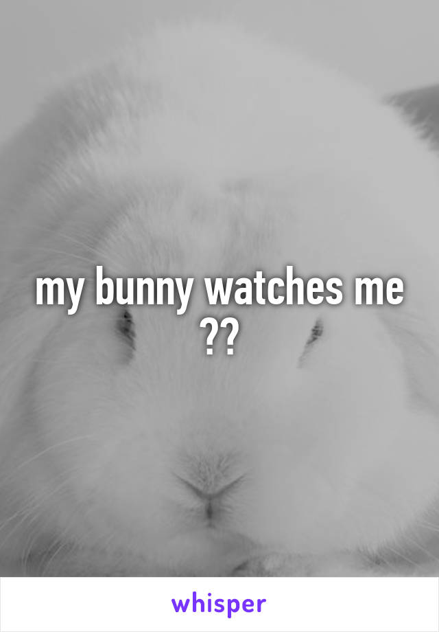 my bunny watches me 😂😂