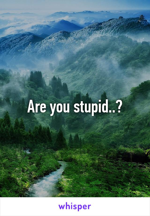 Are you stupid..?