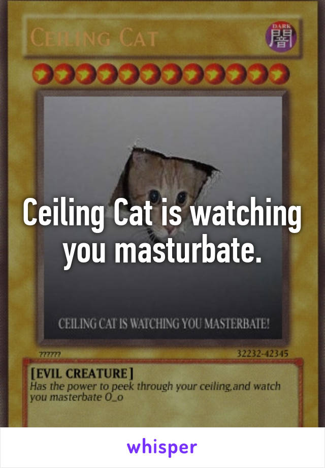 Ceiling Cat is watching you masturbate.