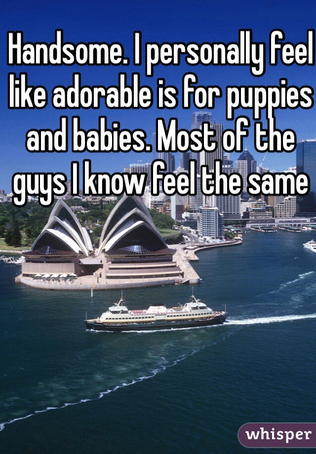 Handsome. I personally feel like adorable is for puppies and babies. Most of the guys I know feel the same
