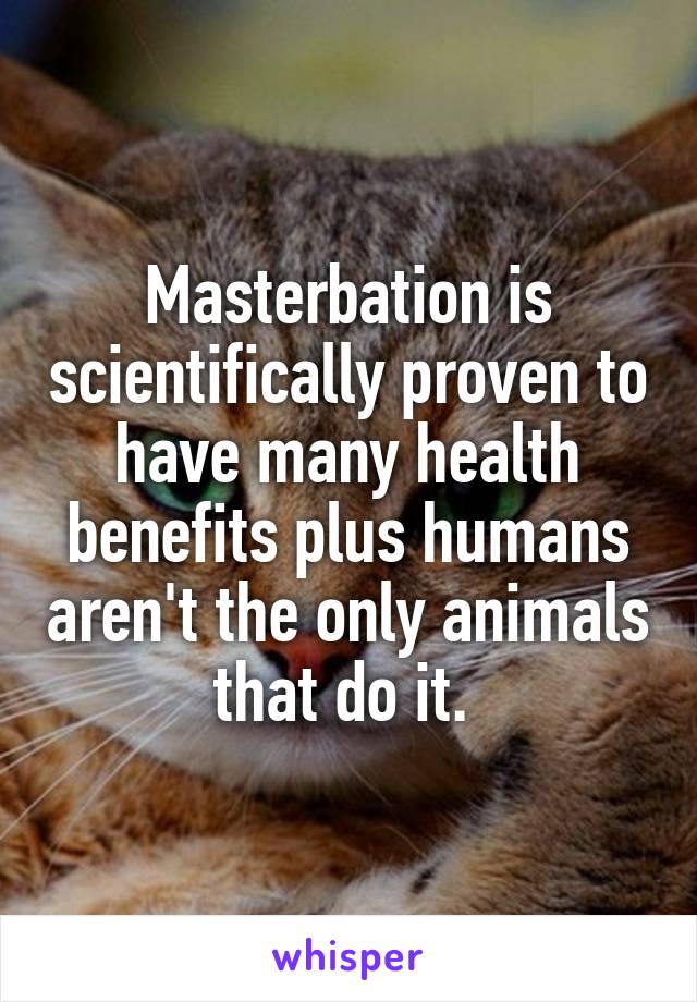 Masterbation is scientifically proven to have many health benefits plus humans aren't the only animals that do it. 