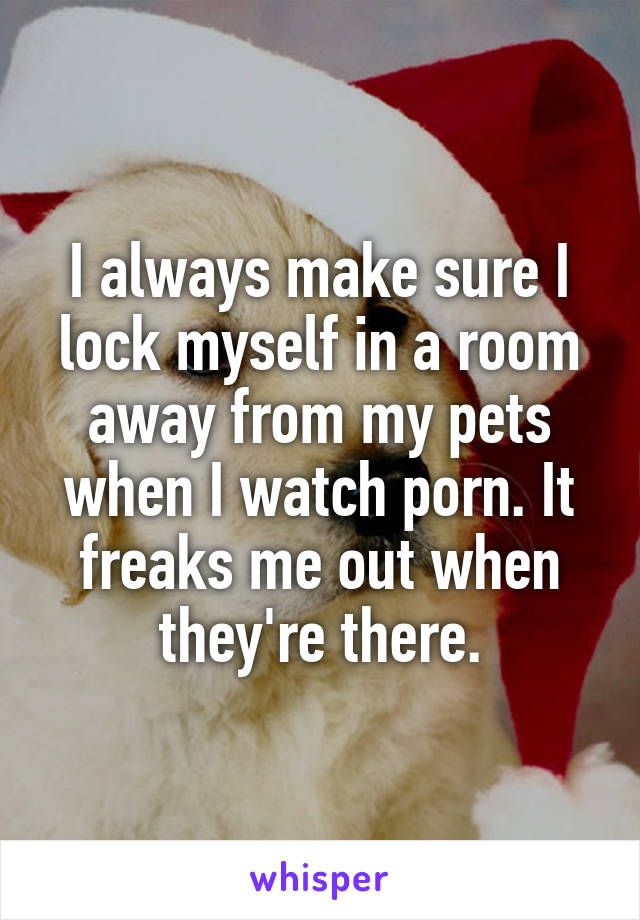 I always make sure I lock myself in a room away from my pets when I watch porn. It freaks me out when they're there.