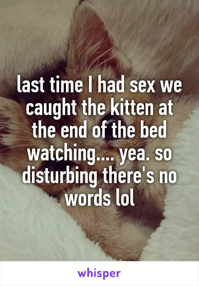 last time I had sex we caught the kitten at the end of the bed watching.... yea. so disturbing there's no words lol