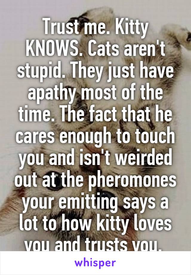 Trust me. Kitty KNOWS. Cats aren't stupid. They just have apathy most of the time. The fact that he cares enough to touch you and isn't weirded out at the pheromones your emitting says a lot to how kitty loves you and trusts you. 