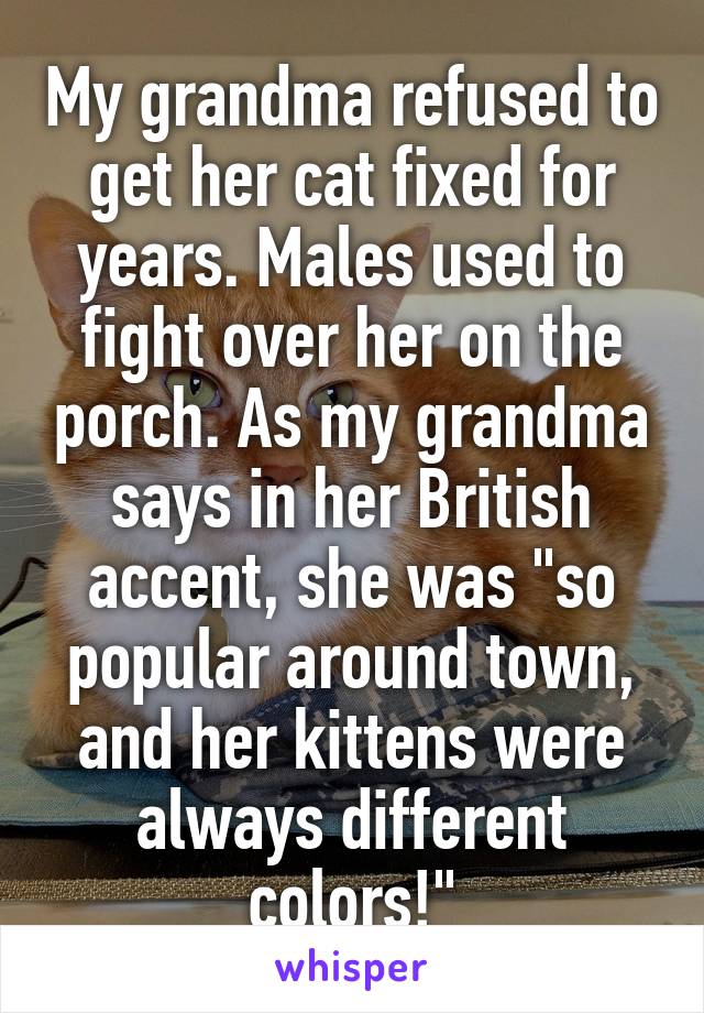 My grandma refused to get her cat fixed for years. Males used to fight over her on the porch. As my grandma says in her British accent, she was "so popular around town, and her kittens were always different colors!"