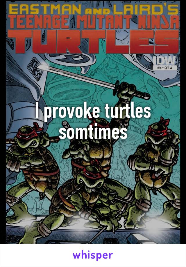 I provoke turtles somtimes
