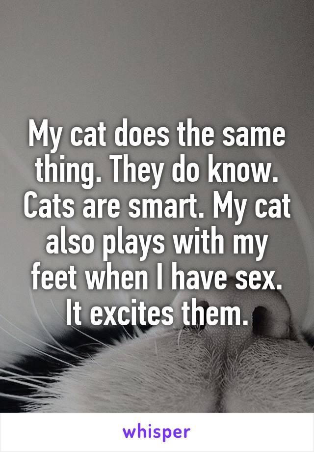 My cat does the same thing. They do know. Cats are smart. My cat also plays with my feet when I have sex. It excites them.